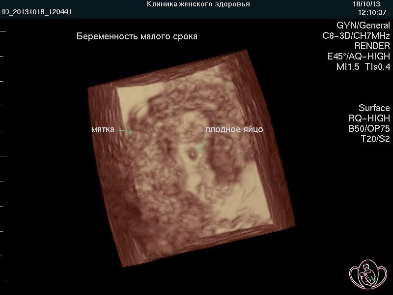 Телефоны ветеринарная клиник в павлодаре